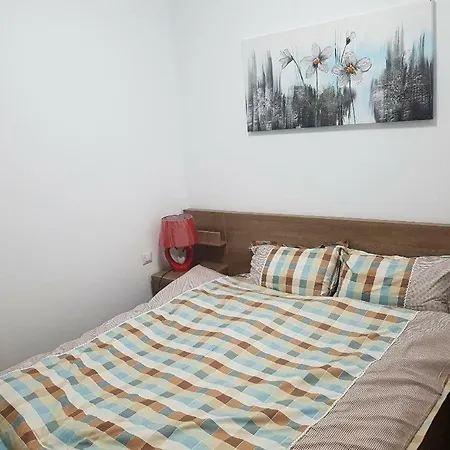 Petre Popovat 79 Apartament 5 Βουκουρέστι