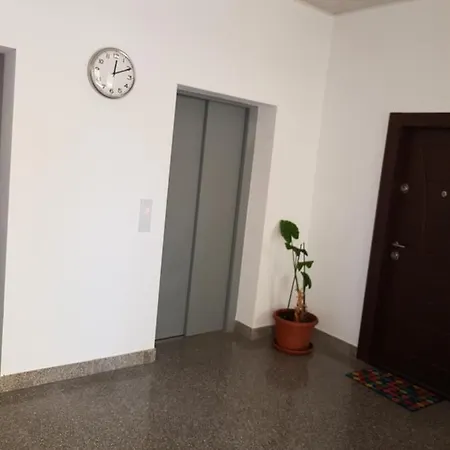 Petre Popovat 79 Apartament 5 *